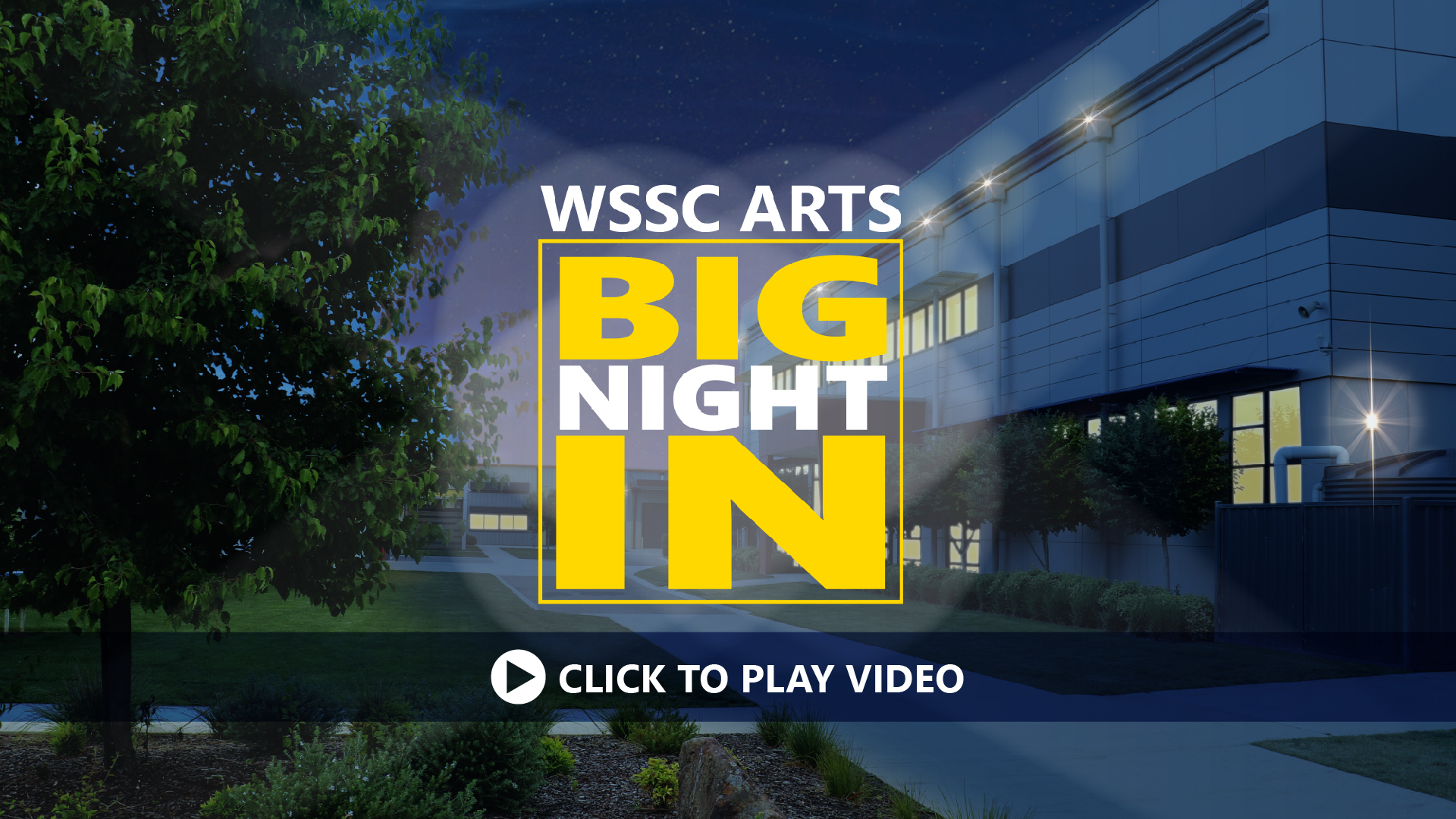 WSSC Arts Big Night In